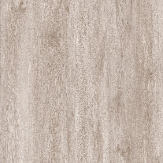 Champagne Oak - Wholesale - Infinita