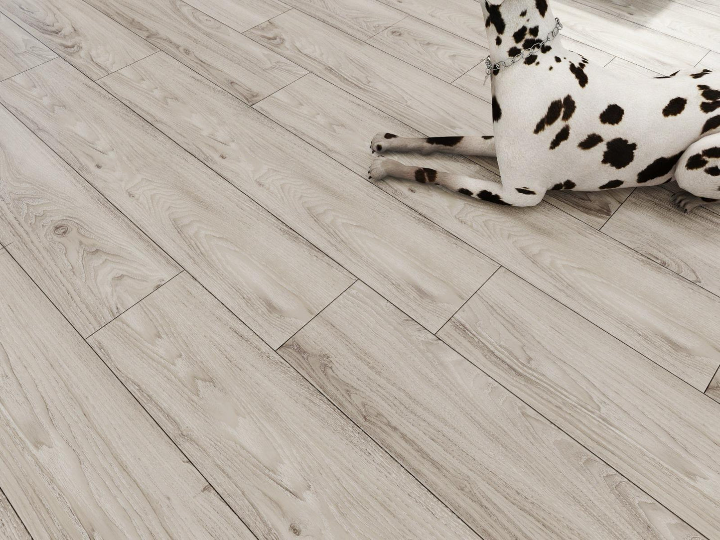 Arctic Ashwood Luxe - Wholesale - Infinita