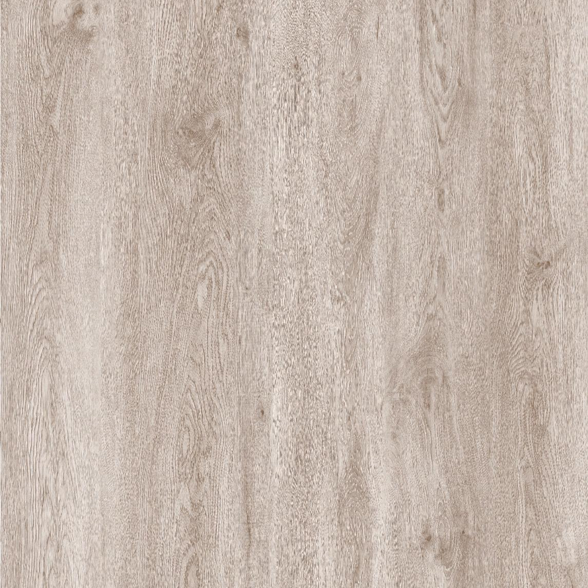 Champagne Oak - Wholesale - Infinita