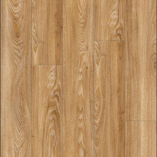 Havanna Heritage Oak - Wholesale - Infinita