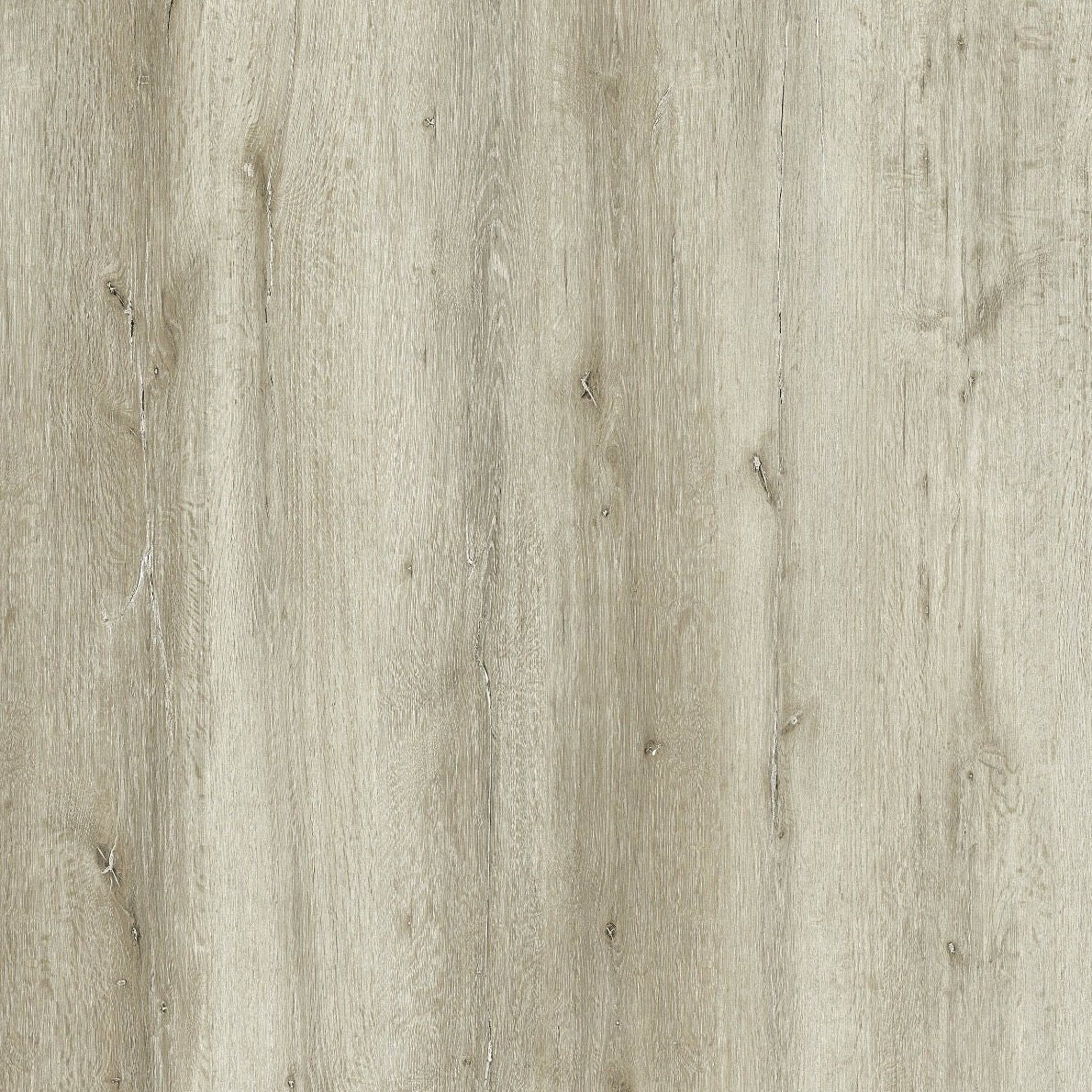 Provence Oak - 0.55mm Wear Layer - Infinita