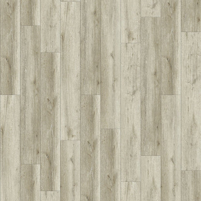 Provence Oak - 0.55mm Wear Layer - Infinita